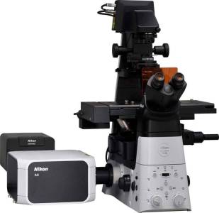 Confocal and Multiphoton Microscopes