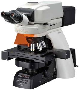 Upright Microscopes