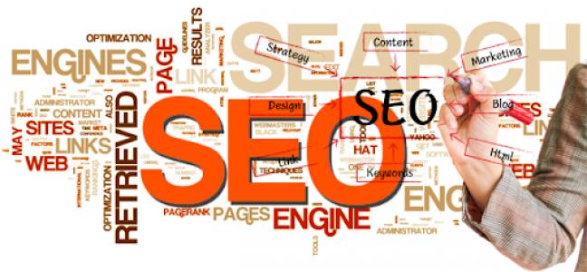 Increase Organic Search Visibility with Best SEO Company in Noida