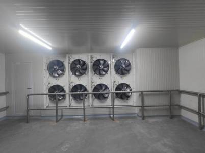 blast freezer