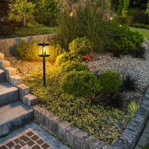 Solar Pathway Light