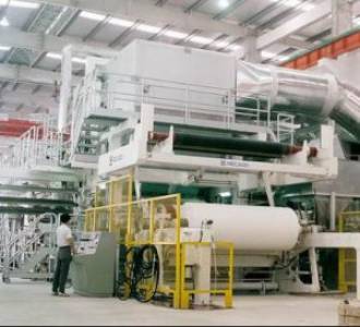 Paper Plant