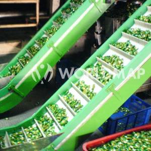 Bucket Conveyor