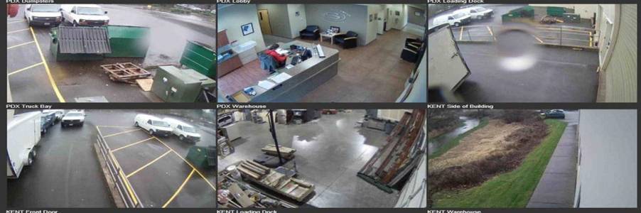 Electronic Security Service