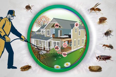 Pest Control