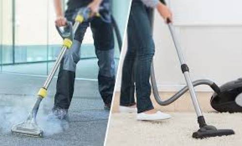 Pest Control