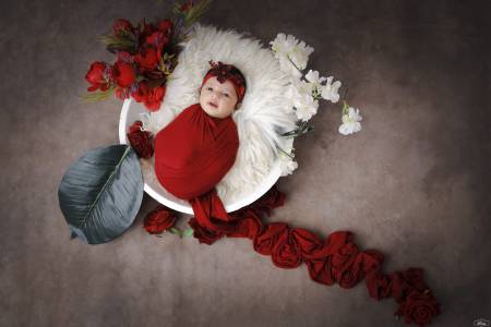Newborn Baby Photography