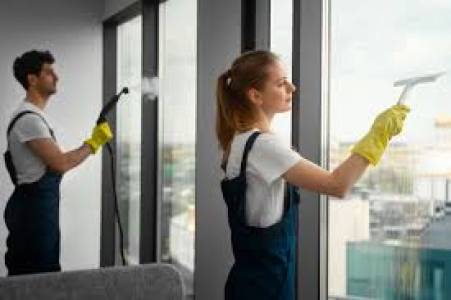 Window Cleaning