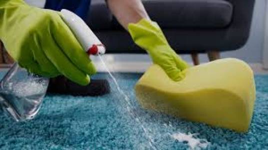 Carpet Cleaning