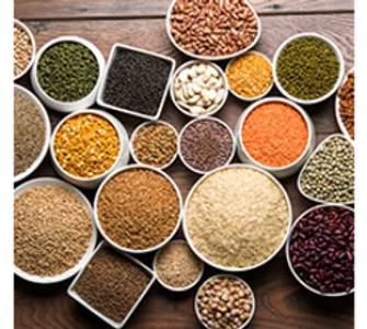 Grains & Pulses