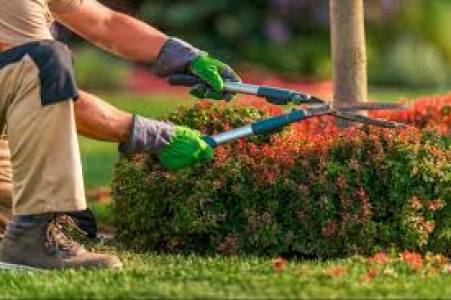 Gardening Services