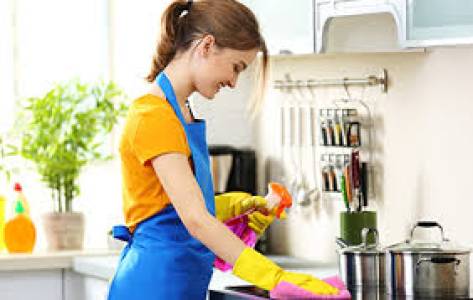 Home Maid Services