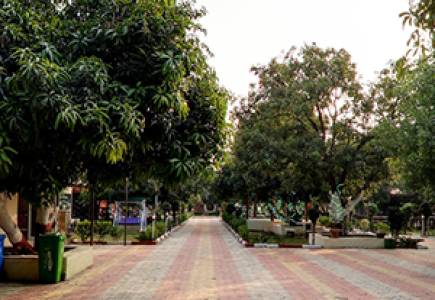 Jungal Vista Resort