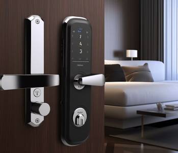 Internal Door Locks