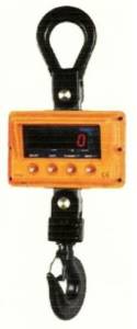 Electronic Crane Scale