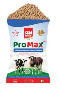 Cattle Feed