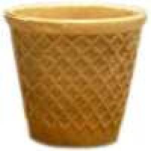 Biscuit Cup for Tea