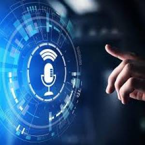 Voice Integration