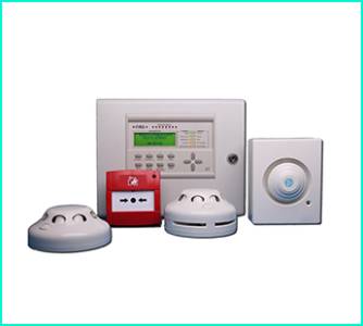 Electronic Security Systems