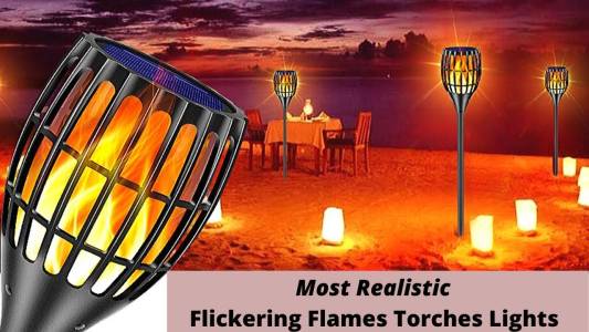 STMF Torch