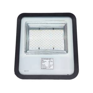 AC LED Lens Flood Light