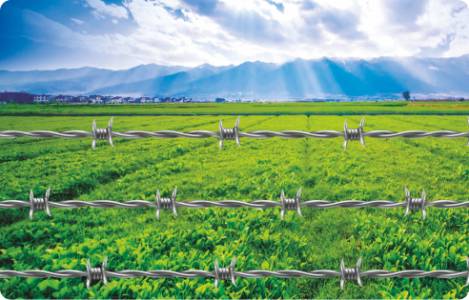 Fencing Wire
