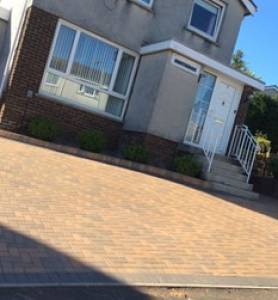 Tegula Cobble
