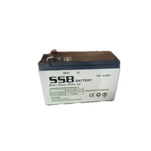 Inverter Battery