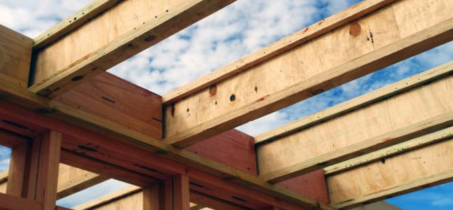 Laminated Veneer Lumber (LVL)