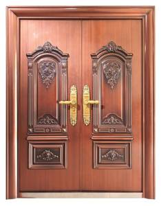 Teakwood Steel Door MT 802