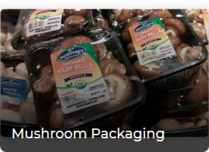 Mushroom Packaging