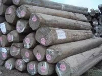 Burma Teak