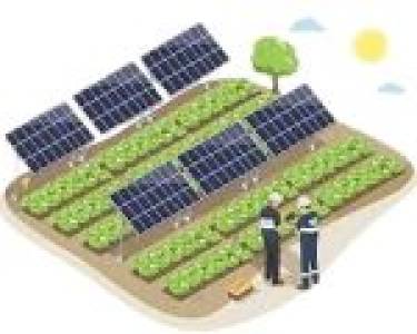 Agricultural Solar Solutions