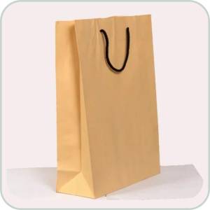 Nylon Cord Handle Paper Bags