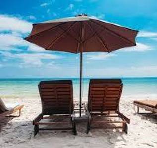 Wooden Finish Umbrella