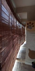 PVC Chick Blinds
