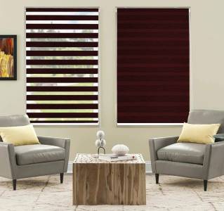 Zebra Blind