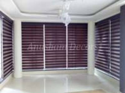 Zebra blinds