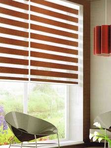 Zebra blinds