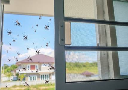 Mosquito Mesh