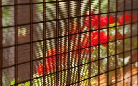 Window Blinds Supplier in Pune