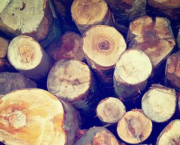 Engineered Lumber