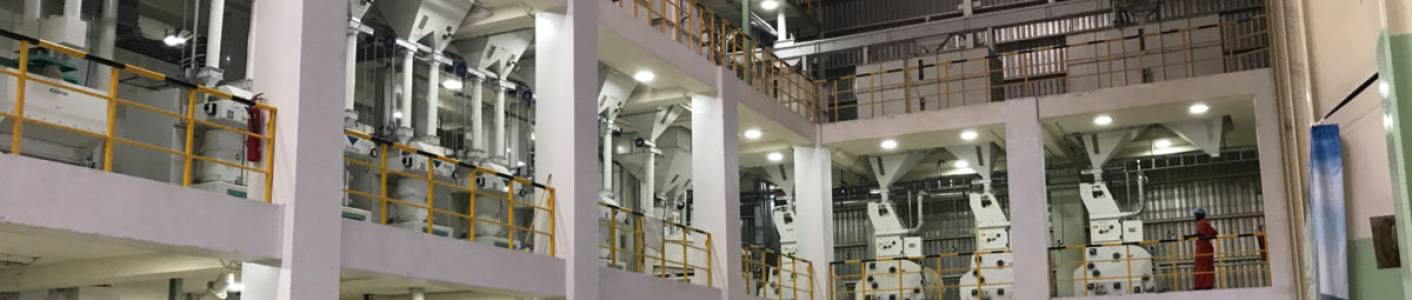 PADDY MILLING PLANTS