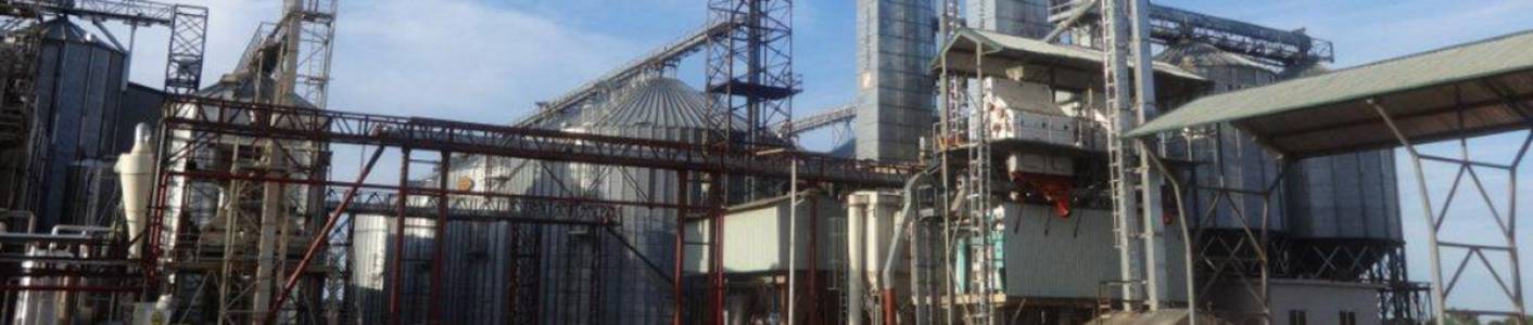 RAW PADDY DRYING SOLUTION