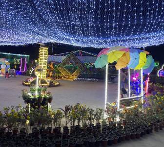 Night show Park