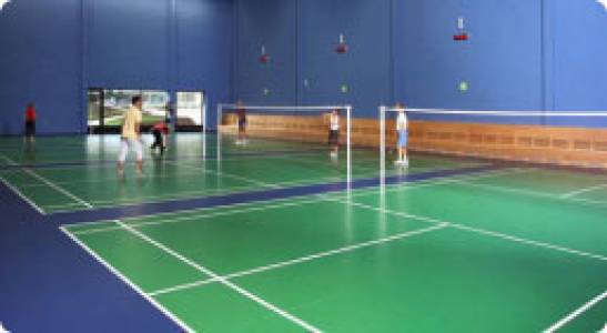 Badminton Court Size