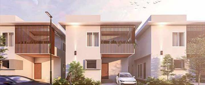 Sark South Meadows 1