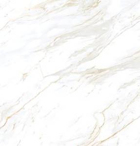 Glazed Vitrified Tiles 800X1600mm