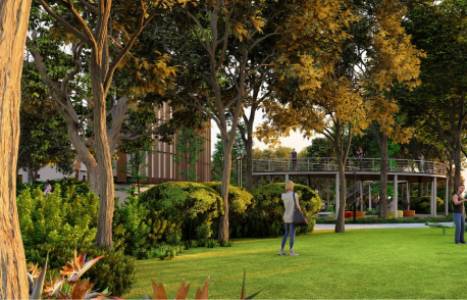 Expansive Green Spaces