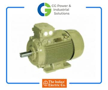 Crusher Duty Motors